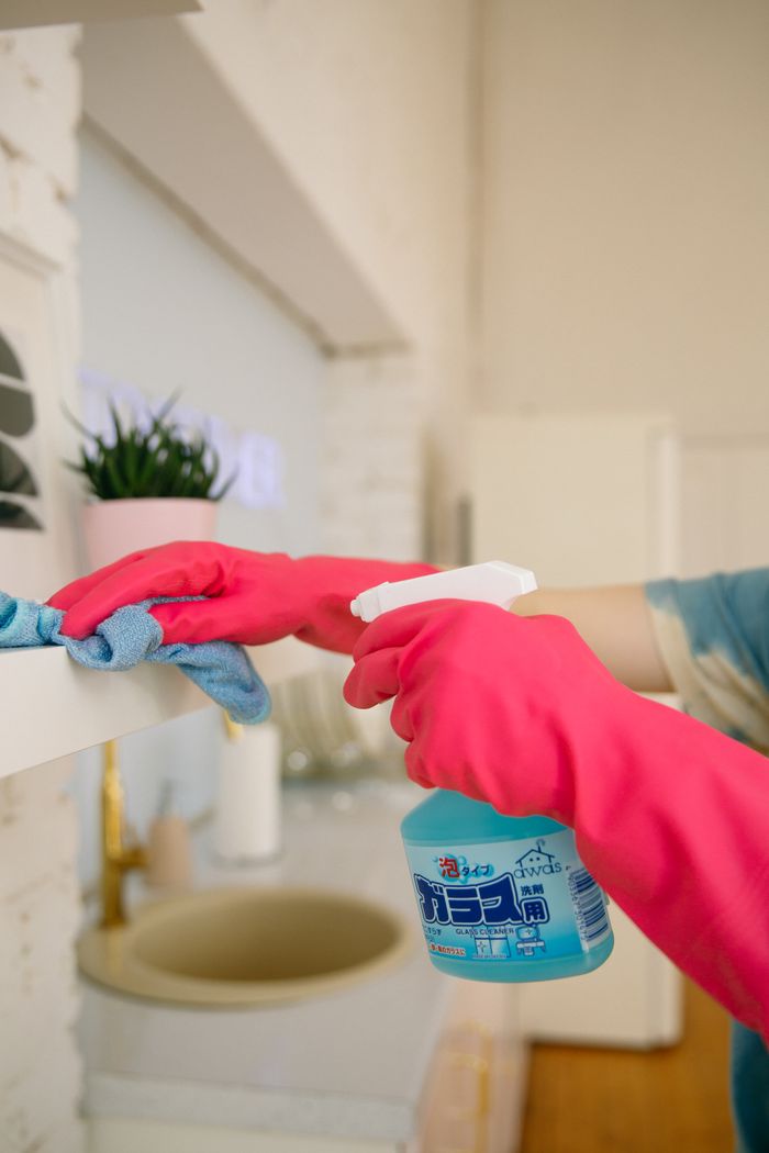 Professional cleaning gloves and spray