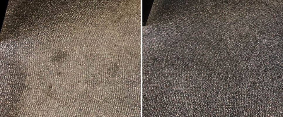 Carpet Cleaning