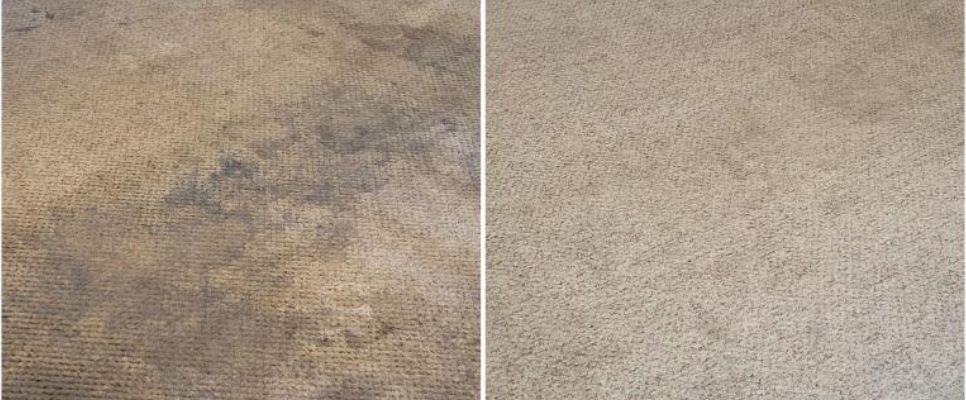 Carpet Cleaning